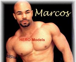 The Sexxiest Exotic Party Entertainment Featuring HERO's Hottest Male & Female Erotic Dancers - Strippers Dancers - Strippers in Bachelorette Party Ideas